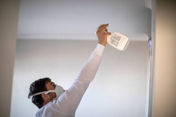 Best Kitchen Mold Remediation in Sa Loma, CA