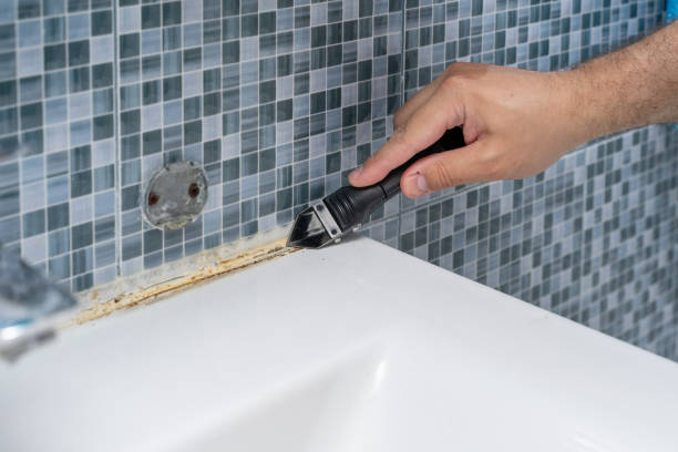 Best Health and Safety Mold Remediation in Sa Loma, CA